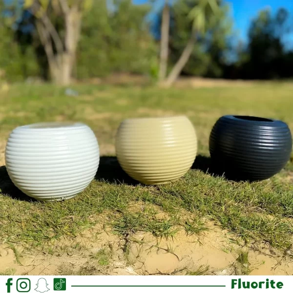 بوت الشاوا ( 36*29)