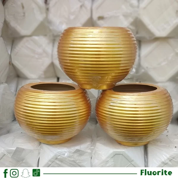 بوت الشاوا ( 36*29)
