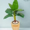 شجرة الفامبخيا الصناعية| تصميم أنيق لديكور منزلك أو مكتبك