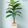 شجرة الفامبخيا الصناعية| تصميم أنيق لديكور منزلك أو مكتبك