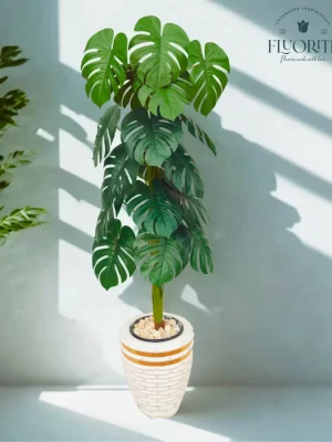 شجرة قشطة صناعية