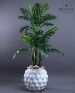 نخلة سايكس ثلاثية السيقان| لمسة من الفخامة في ديكور منزلك