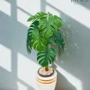 شجرة قشطة صناعية