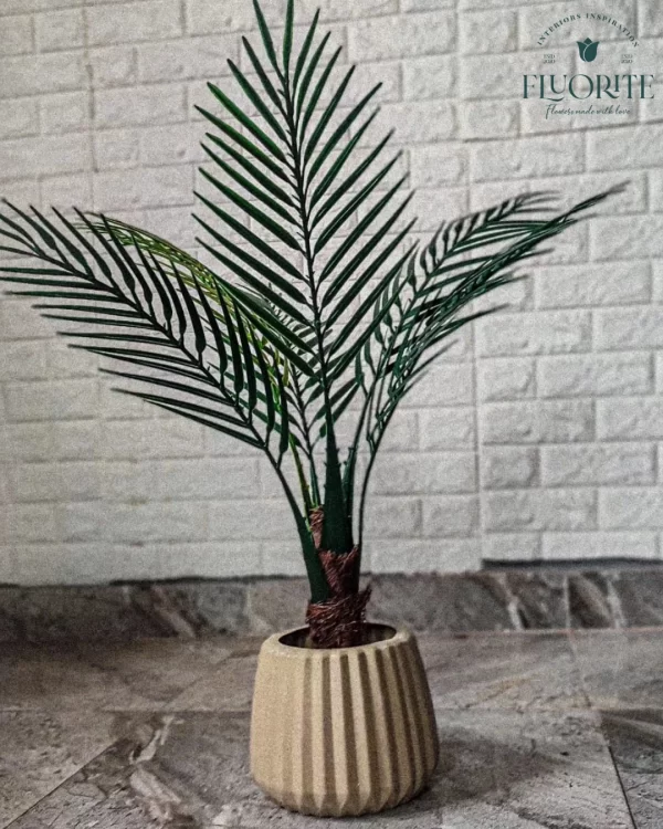 بوت الأناناسة (15× 18 سم)