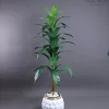 🌿 شجرة الذرة الصناعية - لمسة استوائية أنيقة تدوم طويلاً!