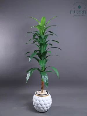 🌿 شجرة الذرة الصناعية - لمسة استوائية أنيقة تدوم طويلاً!
