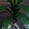 🌿 شجرة الذرة الصناعية - لمسة استوائية أنيقة تدوم طويلاً!