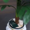 🌿 شجرة المونستيرا الصناعية - لمسة استوائية تدوم طويلاً