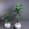 🌿 شجرة المونستيرا الصناعية - لمسة استوائية تدوم طويلاً