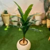 🌿 شجرة الذرة الصناعية - لمسة استوائية أنيقة تدوم طويلاً!