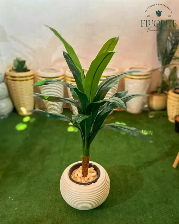 🌿 شجرة الذرة الصناعية - لمسة استوائية أنيقة تدوم طويلاً!