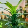🌿 شجرة الذرة الصناعية - لمسة استوائية أنيقة تدوم طويلاً!