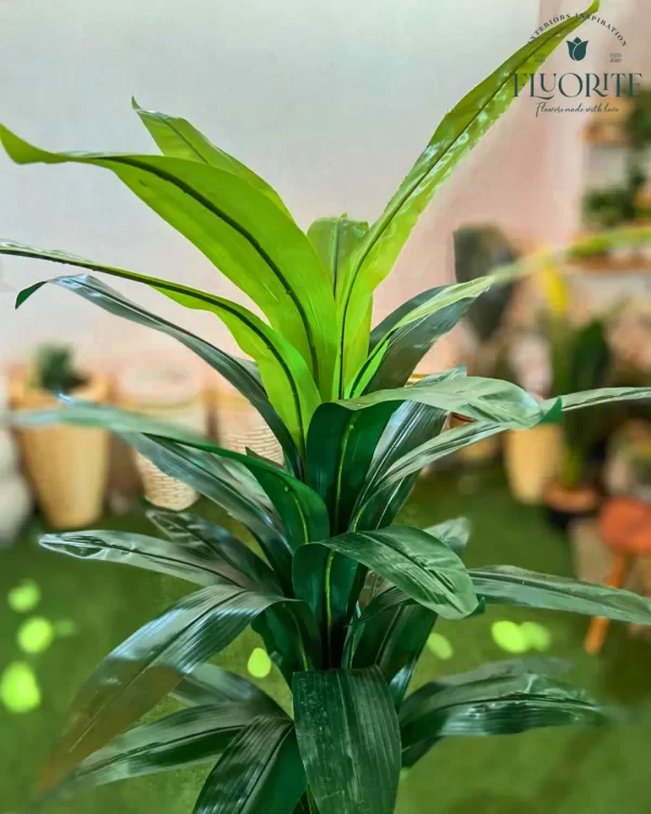🌿 شجرة الذرة الصناعية - لمسة استوائية أنيقة تدوم طويلاً!