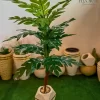 🌿 شجرة المونستيرا الصناعية - لمسة استوائية تدوم طويلاً