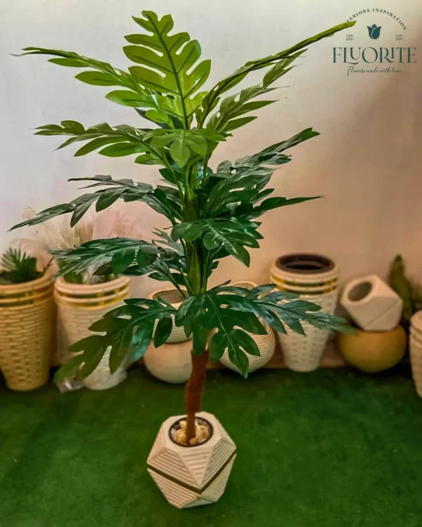 🌿 شجرة المونستيرا الصناعية - لمسة استوائية تدوم طويلاً