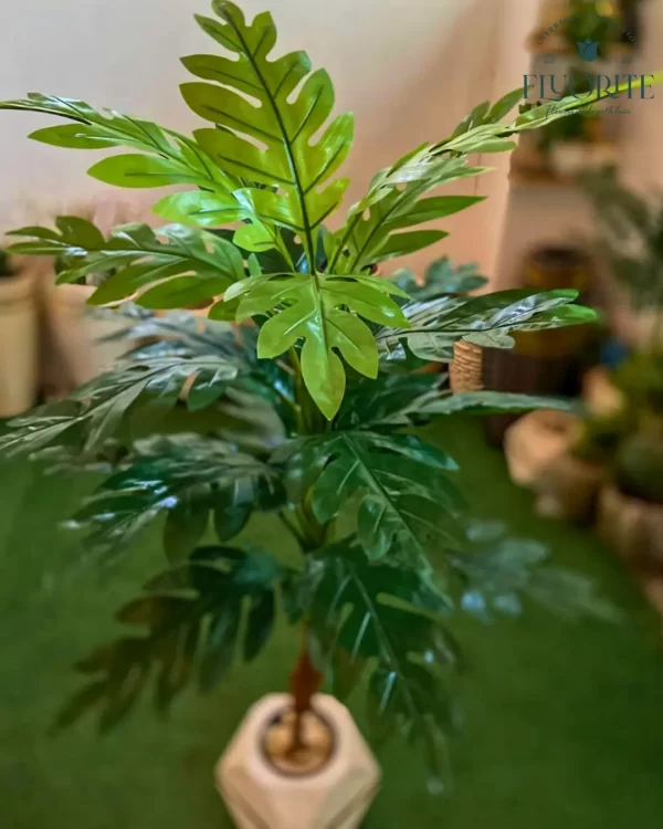 🌿 شجرة المونستيرا الصناعية - لمسة استوائية تدوم طويلاً