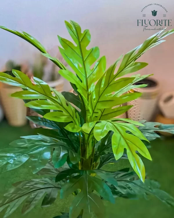 🌿 شجرة المونستيرا الصناعية - لمسة استوائية تدوم طويلاً