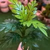 🌿 شجرة المونستيرا الصناعية - لمسة استوائية تدوم طويلاً