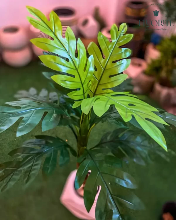 🌿 شجرة المونستيرا الصناعية - لمسة استوائية تدوم طويلاً